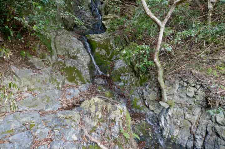 �����k���̑�